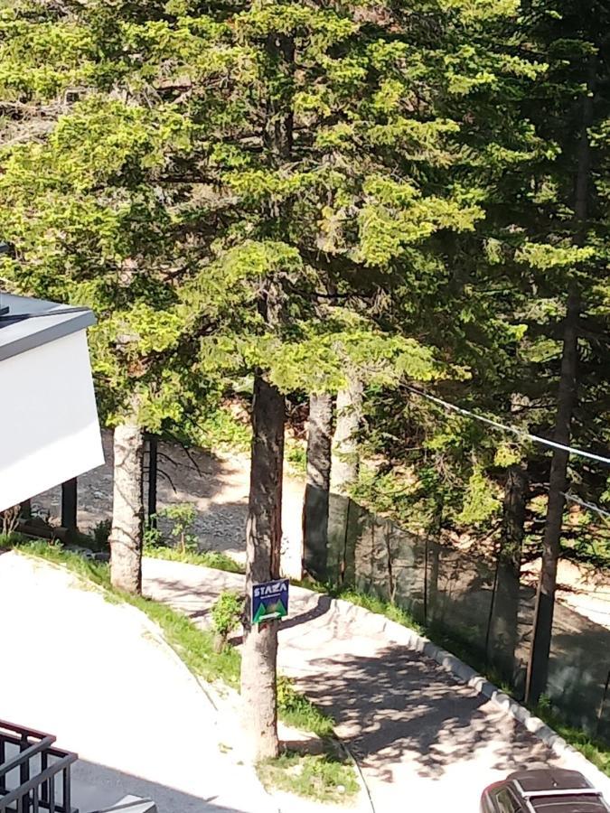 Apartman Bijela Bjelašnica Eksteriør bilde